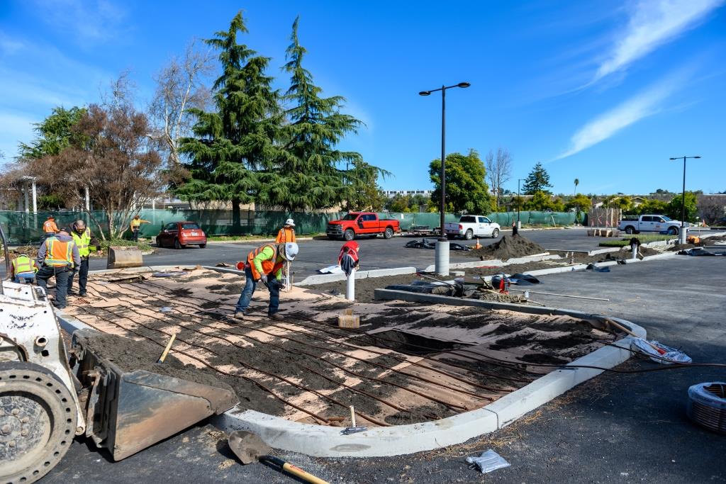 landscape Maintanence