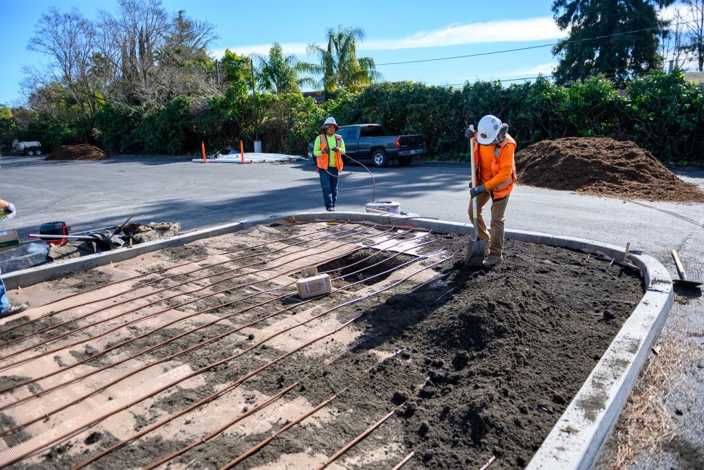 landscape Maintanence