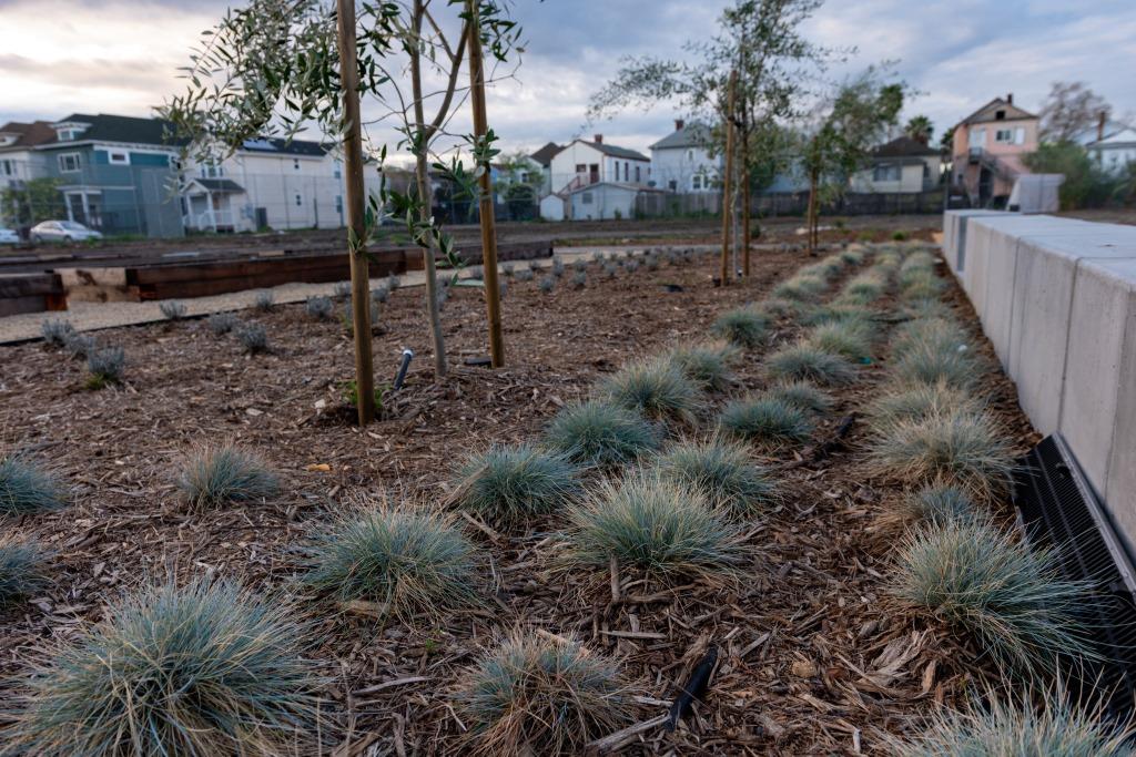 landscape Maintanence