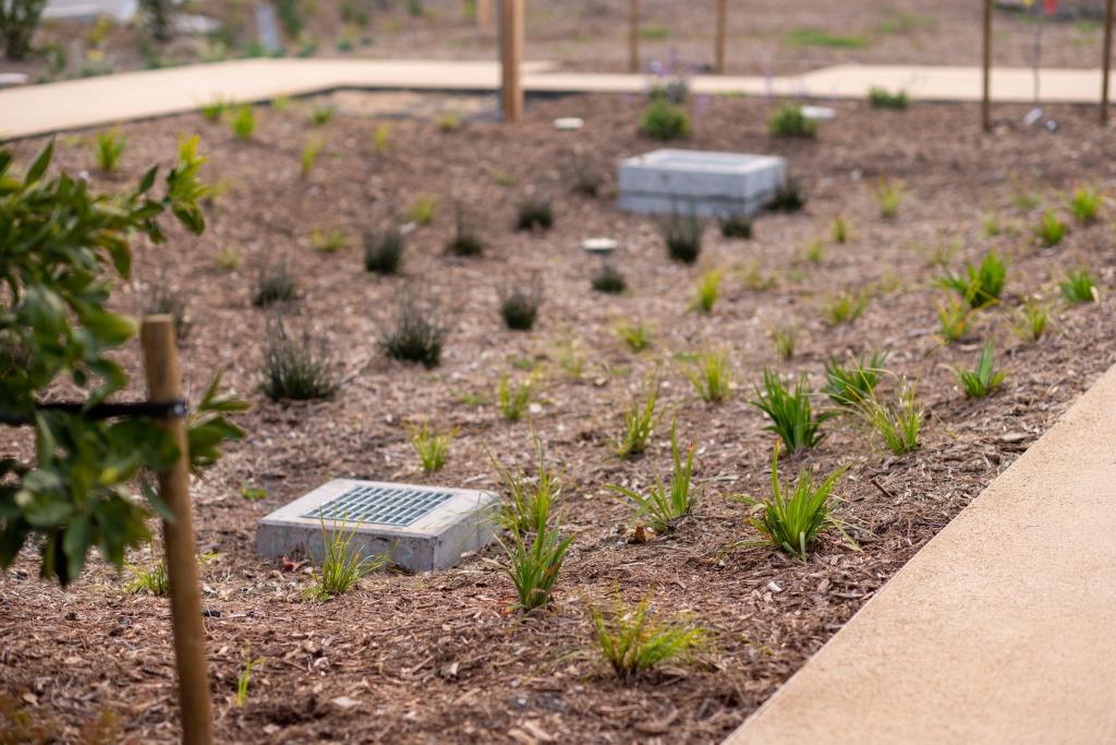 landscape Maintanence