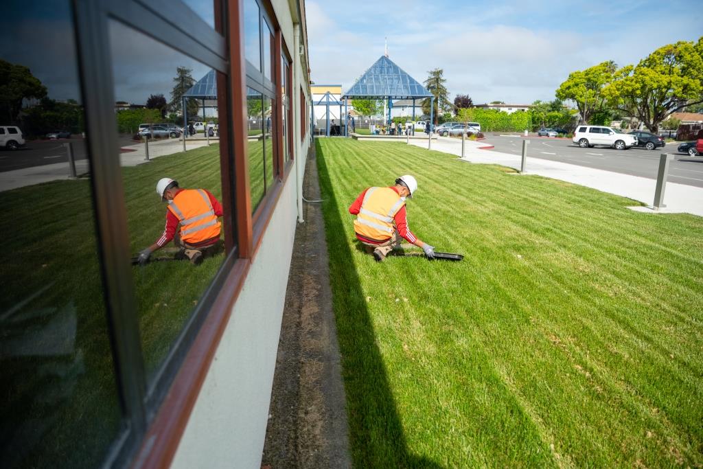 landscape Maintanence