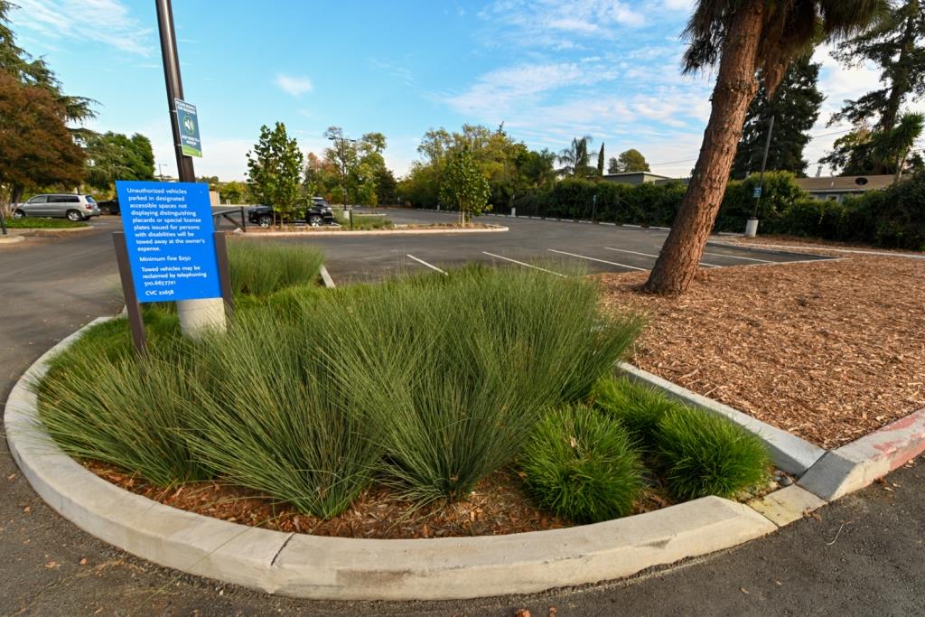 landscape Maintanence