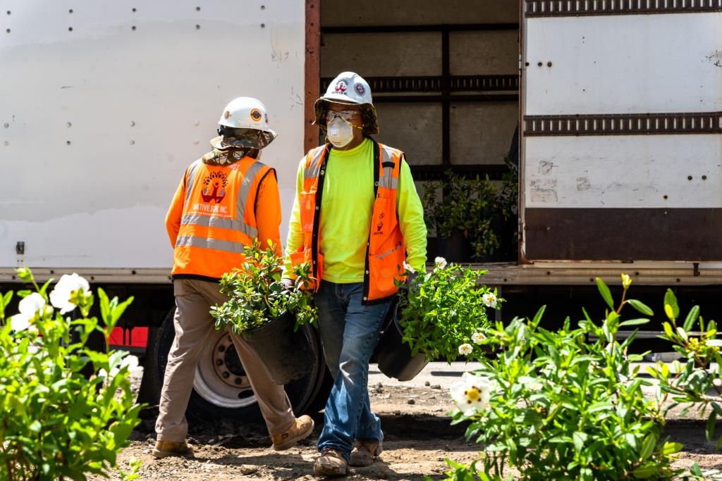 landscape Maintanence