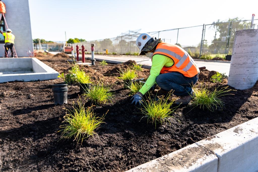 landscape Maintanence