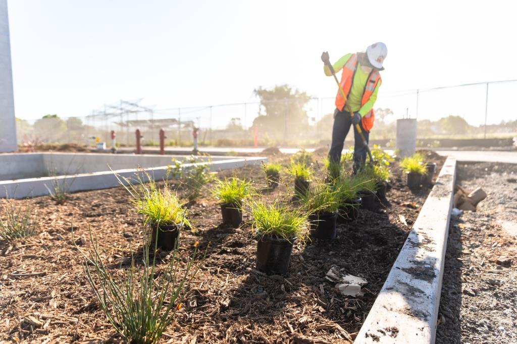 landscape Maintanence